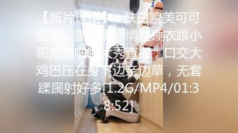 大神周末约炮极品身材的美女模特 先玩车震再回酒店啪啪 爽歪歪