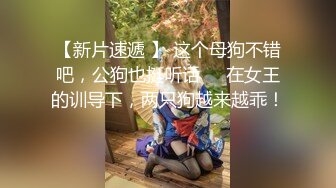 【新片速遞 】 这个母狗不错吧，公狗也挺听话❤️在女王的训导下，两只狗越来越乖！ 