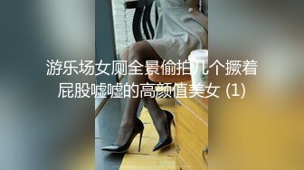 游乐场女厕全景偷拍几个撅着屁股嘘嘘的高颜值美女 (1)