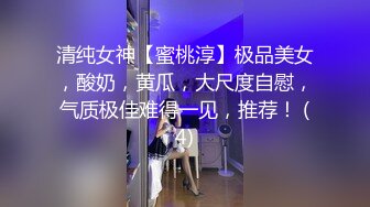 双飞豪乳情趣丝袜美少妇