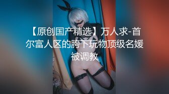 火辣完美身材极品美乳刚播小姐姐  开档黑丝露无毛肥穴  包臀裙翘起对着镜头  进进出出抽插  吸在地上猛坐