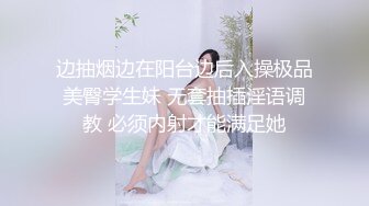 沙发上后入穿渔网丝袜的女友