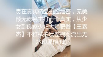 Onlyfans极品白虎网红小姐姐NANA吊带黑丝-房产经纪人的情趣内衣