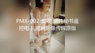 PMX-002 .斑斑.清纯秘书遥控电干.蜜桃影像传媒原版