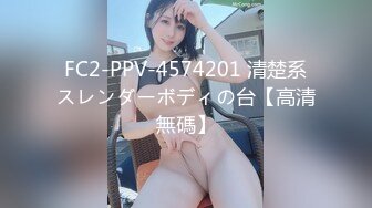 FC2-PPV-4574201 清楚系スレンダーボディの台【高清無碼】