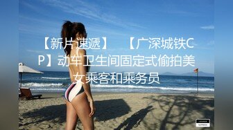 【新片速遞】   【广深城铁CP】动车卫生间固定式偷拍美女乘客和乘务员