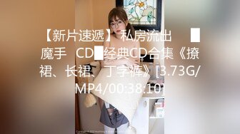 女仆装女奴的散鞭伺候