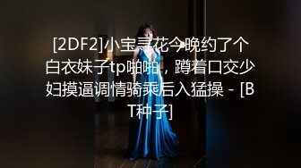 请尽情调教妲己 主人