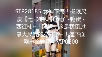 6/11最新 一丝不挂美女模特美早子铁链束缚皮鞭伺候VIP1196