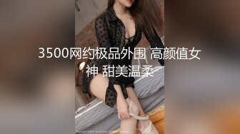 3500网约极品外围 高颜值女神 甜美温柔