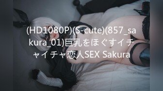 STP26011 女仆装长发女神女友，和猥琐头套男友日常性爱，蝴蝶逼很干净