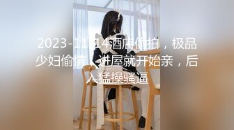 2023-11-14酒店偷拍，极品少妇偷情，进屋就开始亲，后入猛操骚逼