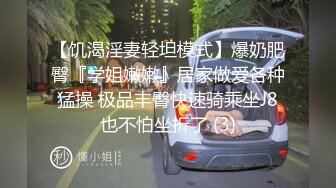 【AI换脸视频】李一桐 电影院女安保与游客难忘的一晚