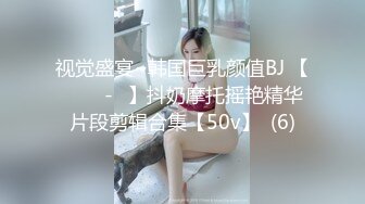 [2DF2] 【美男子】4，约了个大奶子少妇，口交舔屌吸奶子抬腿抽插，上位骑乘后入猛操晃动奶子 - soav_evMerge[BT种子]