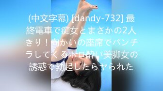 (中文字幕) [dandy-732] 最終電車で痴女とまさかの2人きり！向かいの座席でパンチラしてくるホロ酔い美脚女の誘惑で勃起したらヤられた