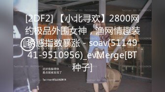 [2DF2] 【小北寻欢】2800网约极品外围女神，渔网情趣装诱惑指数暴涨 - soav(5114941-9510956)_evMerge[BT种子]