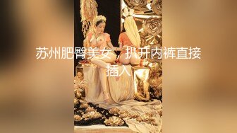 国产麻豆AV MD MD0063 女優面試員 袁庭妮