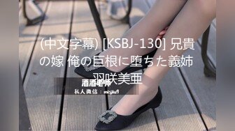 (中文字幕) [KSBJ-130] 兄貴の嫁 俺の巨根に堕ちた義姉 羽咲美亜