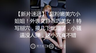 麻豆传媒 MDX0194 女业主出言不逊 男保安上门强操