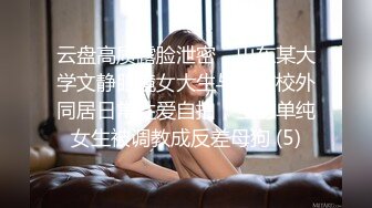 丝袜美腿番号HYAZ系列原档合集【25V】 (19)