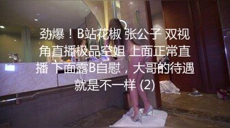 劲爆！B站花椒 张公子 双视角直播极品空姐 上面正常直播 下面露B自慰，大哥的待遇就是不一样 (2)