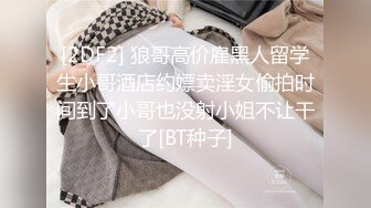 【Z先生】聚会认识的豪放东北女人叫床都很搞笑