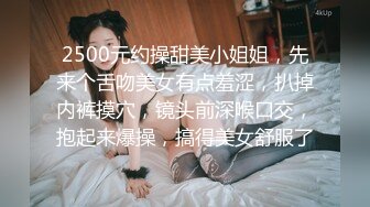 2500元约操甜美小姐姐，先来个舌吻美女有点羞涩，扒掉内裤摸穴，镜头前深喉口交，抱起来爆操，搞得美女舒服了