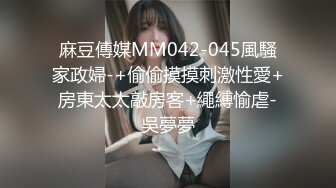 MFK-0026年轻的家政妇