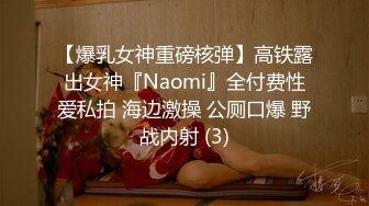 【爆乳女神重磅核弹】高铁露出女神『Naomi』全付费性爱私拍 海边激操 公厕口爆 野战内射 (3)