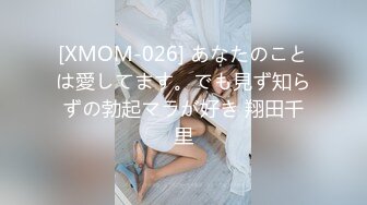 コスビッチ3SEX2 吹石れな