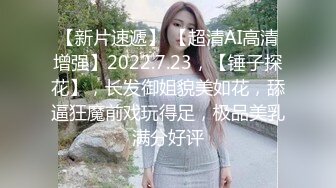 顶级女神身材爆好面容姣好女人味十足的顶级尤物小母狗被狂干